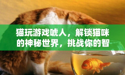 解鎖貓咪的神秘世界，挑戰(zhàn)智慧與勇氣的游戲
