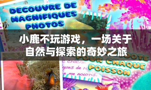 小鹿不玩游戲，自然與探索的奇妙之旅