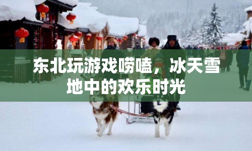 冰天雪地中的歡樂(lè)時(shí)光，東北玩游戲嘮嗑