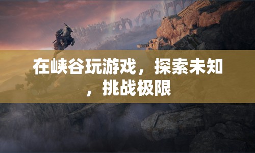 峽谷探險(xiǎn)，挑戰(zhàn)極限，探索未知