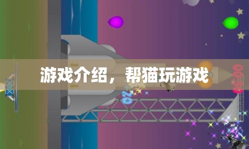 幫貓玩游戲，趣味互動(dòng)新體驗(yàn)