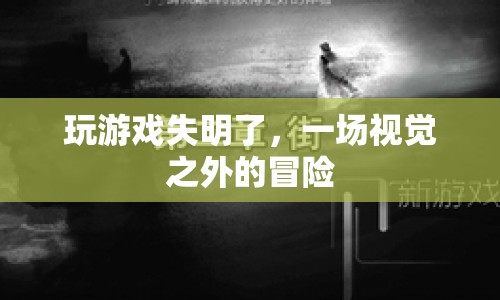 失明后的視覺之外，一場游戲內(nèi)的冒險