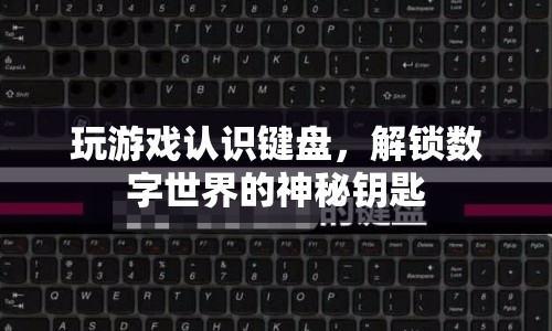 解鎖數(shù)字世界的神秘鑰匙，通過游戲認(rèn)識鍵盤