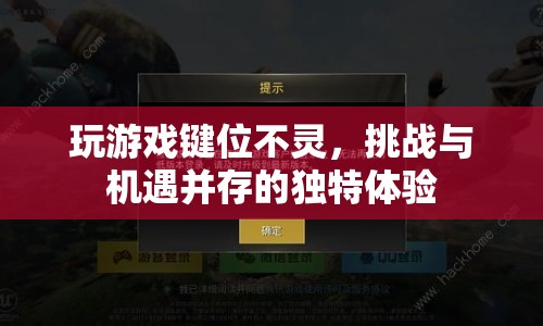 挑戰(zhàn)與機遇并存的獨特游戲體驗，鍵位失靈的另類玩法