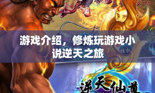逆天之旅，修煉玩游戲小說(shuō)