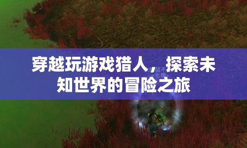 探索未知世界的冒險(xiǎn)之旅，穿越玩游戲獵人