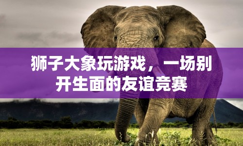 獅子大象友誼競賽，一場別開生面的游戲盛宴