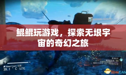 鯤鯤的宇宙奇幻之旅，探索無(wú)垠的未知