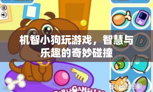 機(jī)智小狗玩轉(zhuǎn)游戲，智慧與樂趣的奇妙碰撞