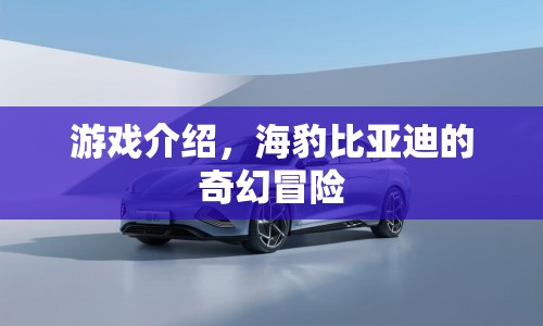 海豹比亞迪的奇幻冒險(xiǎn)，一場(chǎng)冒險(xiǎn)之旅的啟程