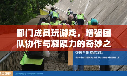 部門成員玩游戲，奇妙之旅增強(qiáng)團(tuán)隊(duì)協(xié)作與凝聚力