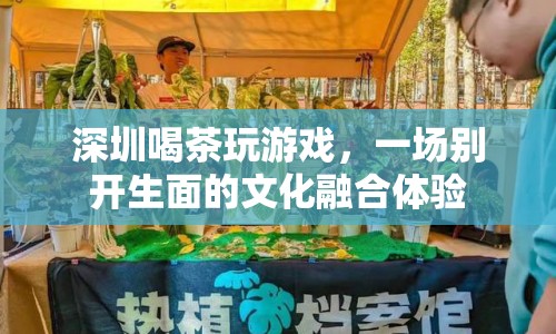 深圳，喝茶玩游戲，文化融合新體驗(yàn)