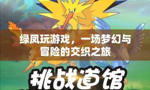 綠鳳的夢(mèng)幻冒險(xiǎn)之旅，交織的夢(mèng)幻與冒險(xiǎn)