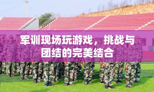 軍訓游戲，挑戰(zhàn)與團結的完美碰撞