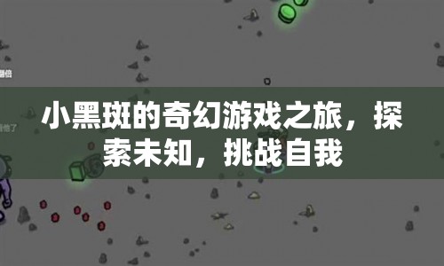 小黑斑的奇幻冒險(xiǎn)，探索未知，挑戰(zhàn)自我