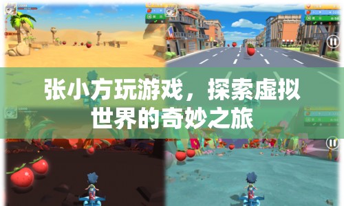張小方，探索虛擬世界的奇妙之旅