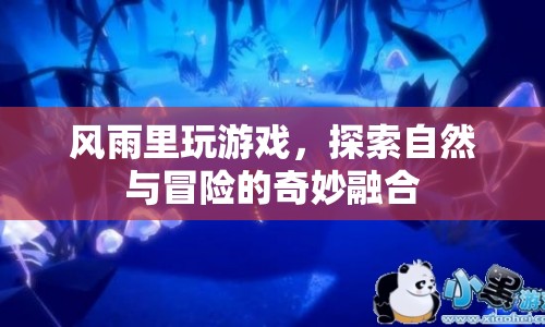 風(fēng)雨中探險(xiǎn)，自然與冒險(xiǎn)的奇妙融合
