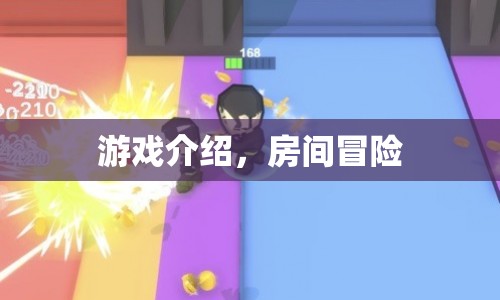 房間冒險(xiǎn)，探索未知世界的奇妙之旅