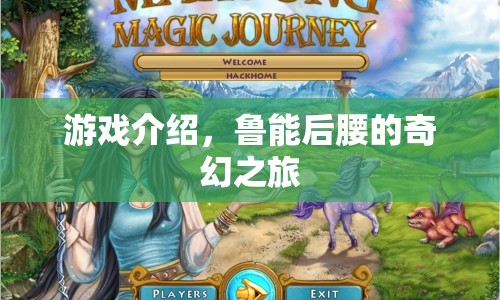 魯能后腰的奇幻之旅，一場精彩絕倫的游戲之旅