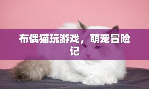 布偶貓萌寵冒險記，游戲大挑戰(zhàn)