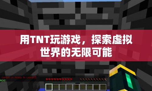 TNT，探索虛擬世界的無限可能