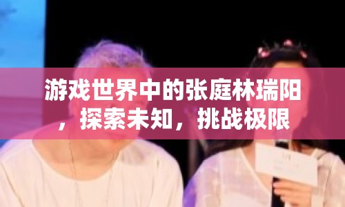 張庭林瑞陽，游戲世界中的探險與挑戰(zhàn)