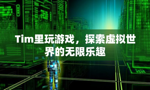 探索虛擬世界的無限樂趣，在Tim里玩游戲