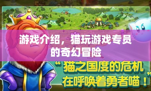 貓玩游戲專員的奇幻冒險之旅