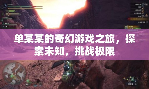 單某某的奇幻游戲之旅，探索未知，挑戰(zhàn)極限
