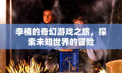 李楠的奇幻冒險，探索未知世界的游戲之旅