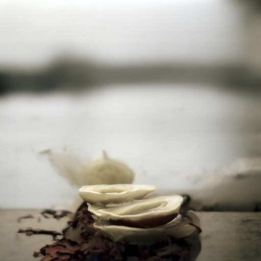 波谷人休藝術(shù)：如何重塑生活美學(xué)？你的心靈需要它嗎？