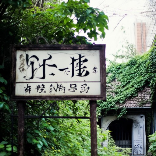 林心如工作室地址曝光，你猜她在哪里？附近有什么秘密？
