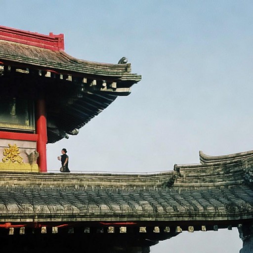 林心如的愛欲秘密：她為何選擇他？背后隱藏了什么真相？