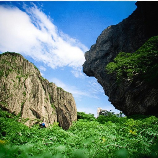 夢(mèng)想仙俠世界：你是否準(zhǔn)備好迎接未知的挑戰(zhàn)與奇遇？